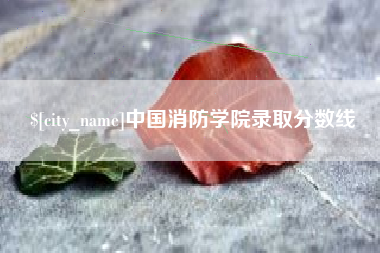 沂源中国消防学院录取分数线