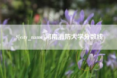 沂源河南消防大学分数线