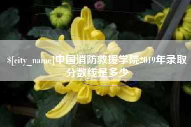 沂源中国消防救援学院2019年录取分数线是多少