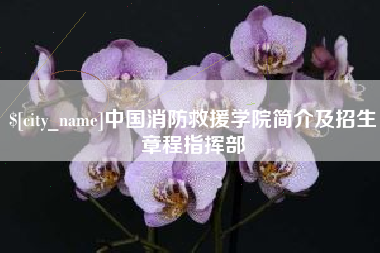 沂源中国消防救援学院简介及招生章程指挥部