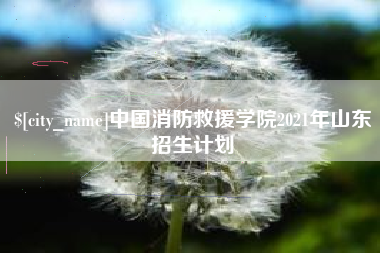 沂源中国消防救援学院2021年山东招生计划