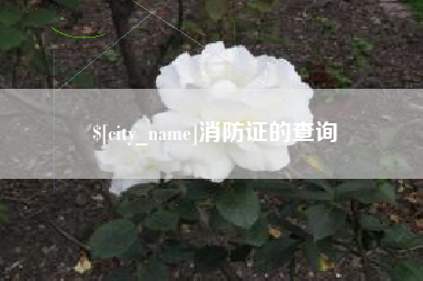 沂源消防证的查询