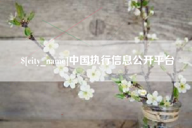 沂源中国执行信息公开平台