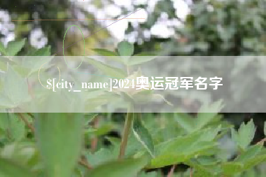 沂源2024奥运冠军名字