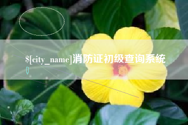 沂源消防证初级查询系统