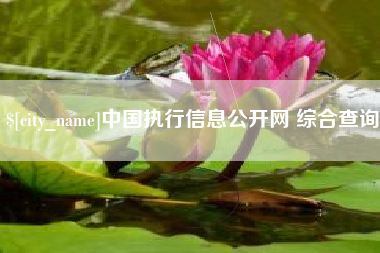 沂源中国执行信息公开网 综合查询