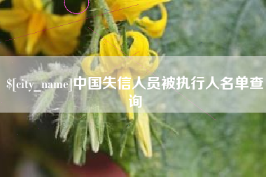 沂源中国失信人员被执行人名单查询
