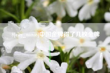 沂源中国金牌得了几枚金牌