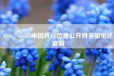 沂源中国执行信息公开网客服电话查询