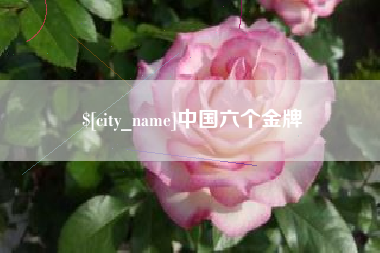 沂源中国六个金牌