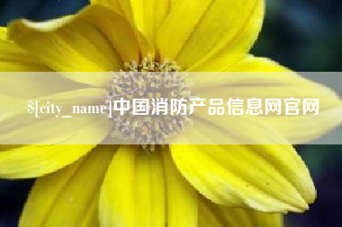 沂源中国消防产品信息网官网