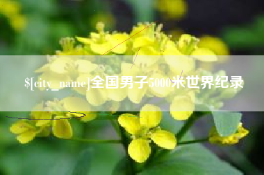 沂源全国男子5000米世界纪录