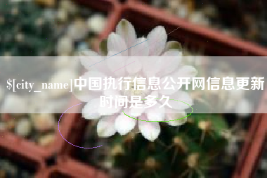沂源中国执行信息公开网信息更新时间是多久