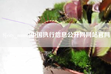 沂源中国执行信息公开网网站官网