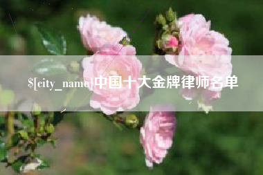 沂源中国十大金牌律师名单
