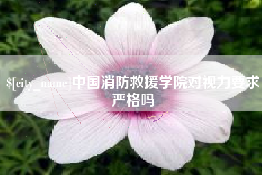 沂源中国消防救援学院对视力要求严格吗
