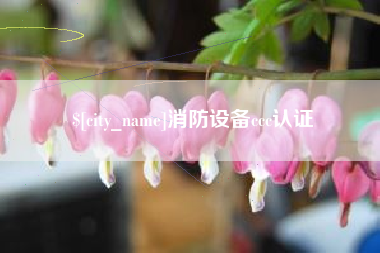 沂源消防设备ccc认证