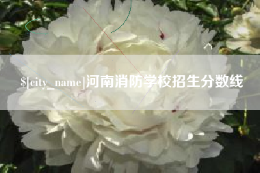 沂源河南消防学校招生分数线