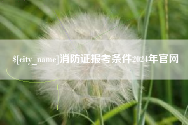 沂源消防证报考条件2024年官网