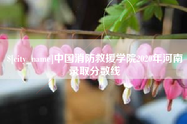 沂源中国消防救援学院2020年河南录取分数线