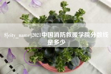沂源2021中国消防救援学院分数线是多少