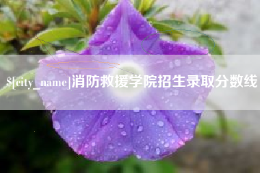 沂源消防救援学院招生录取分数线