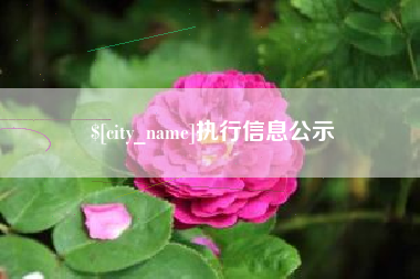 沂源执行信息公示