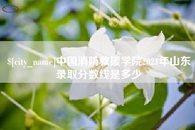 沂源中国消防救援学院2021年山东录取分数线是多少