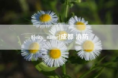 沂源成都 消防