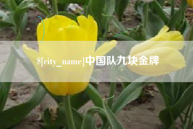 沂源中国队九块金牌