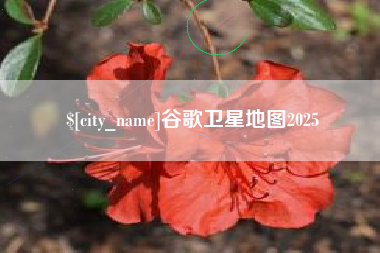 沂源谷歌卫星地图2025