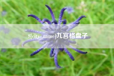 沂源九宫格盘子