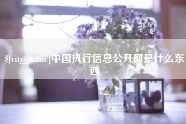 沂源中国执行信息公开网是什么东西
