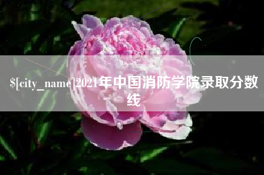沂源2021年中国消防学院录取分数线