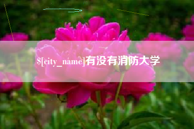沂源有没有消防大学