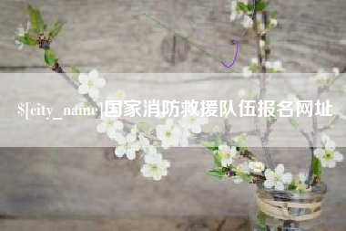 沂源国家消防救援队伍报名网址