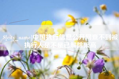 沂源中国执行信息公开网查不到被执行人是不是已解除限高
