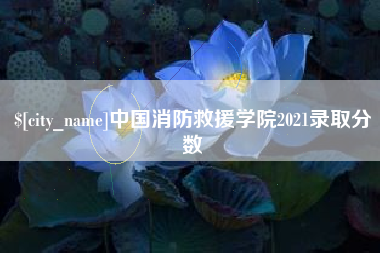 沂源中国消防救援学院2021录取分数