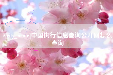沂源中国执行信息查询公开网怎么查询