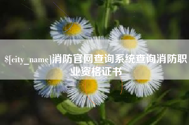 沂源消防官网查询系统查询消防职业资格证书