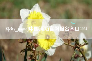 沂源中国消防官网报名入口2024