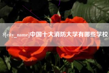 沂源中国十大消防大学有哪些学校