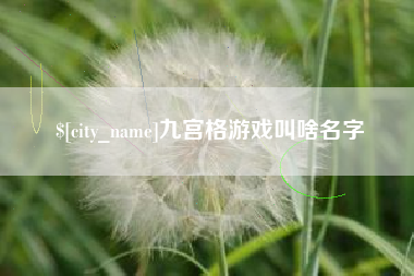 沂源九宫格游戏叫啥名字