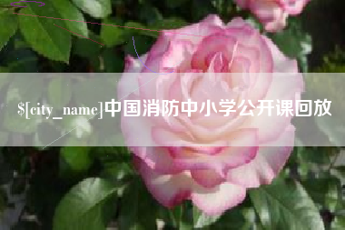 沂源中国消防中小学公开课回放