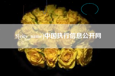 沂源中国执行信息公开网