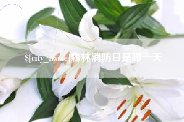 沂源森林消防日是哪一天