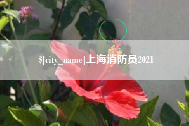 沂源上海消防员2021