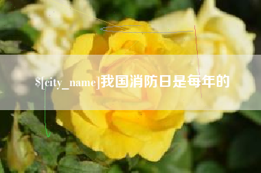 沂源我国消防日是每年的