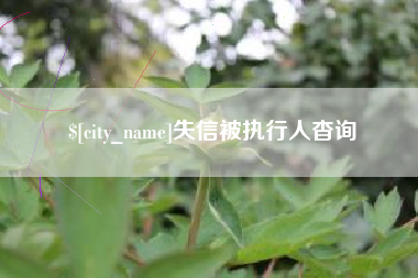 沂源失信被执行人杳询