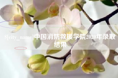 沂源中国消防救援学院2020年录取结果
